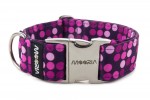 Collar Violet Dots with metal buckle