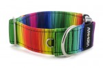 Collar Rainbow lines - Detail of D-ring