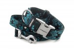Leash Abstract Blue with the collar