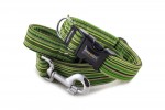 Collar Casual Green with a leash