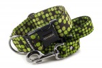 Collar Bright Green Dots with a leash