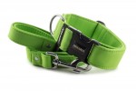 Collar Lime Green with a leash