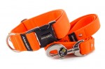 Collar Neon Orange with a leash