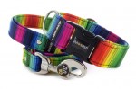 Collar Rainbow lines with a leash