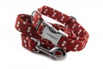 Collar Red Dots with a leash