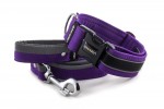 Collar Reflex Fuchsia Violet II with a leash