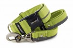 Collar Reflex Lime Green I with a leash