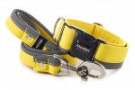Leash Reflex Pastel Yellow with the collar