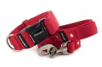 Collar Royal Red with a leash