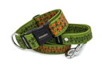 Collar Stars on Green with a leash