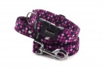 Collar Violet Dots with a leash