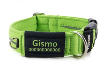 Collar with name tag, size M
