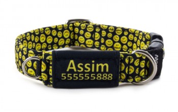 Collar with name tag, size S