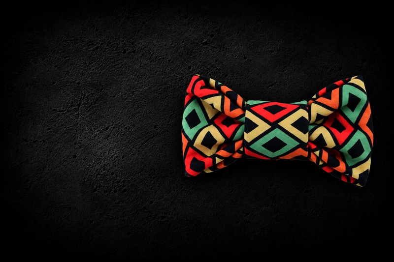 MOORIA dog accessories
