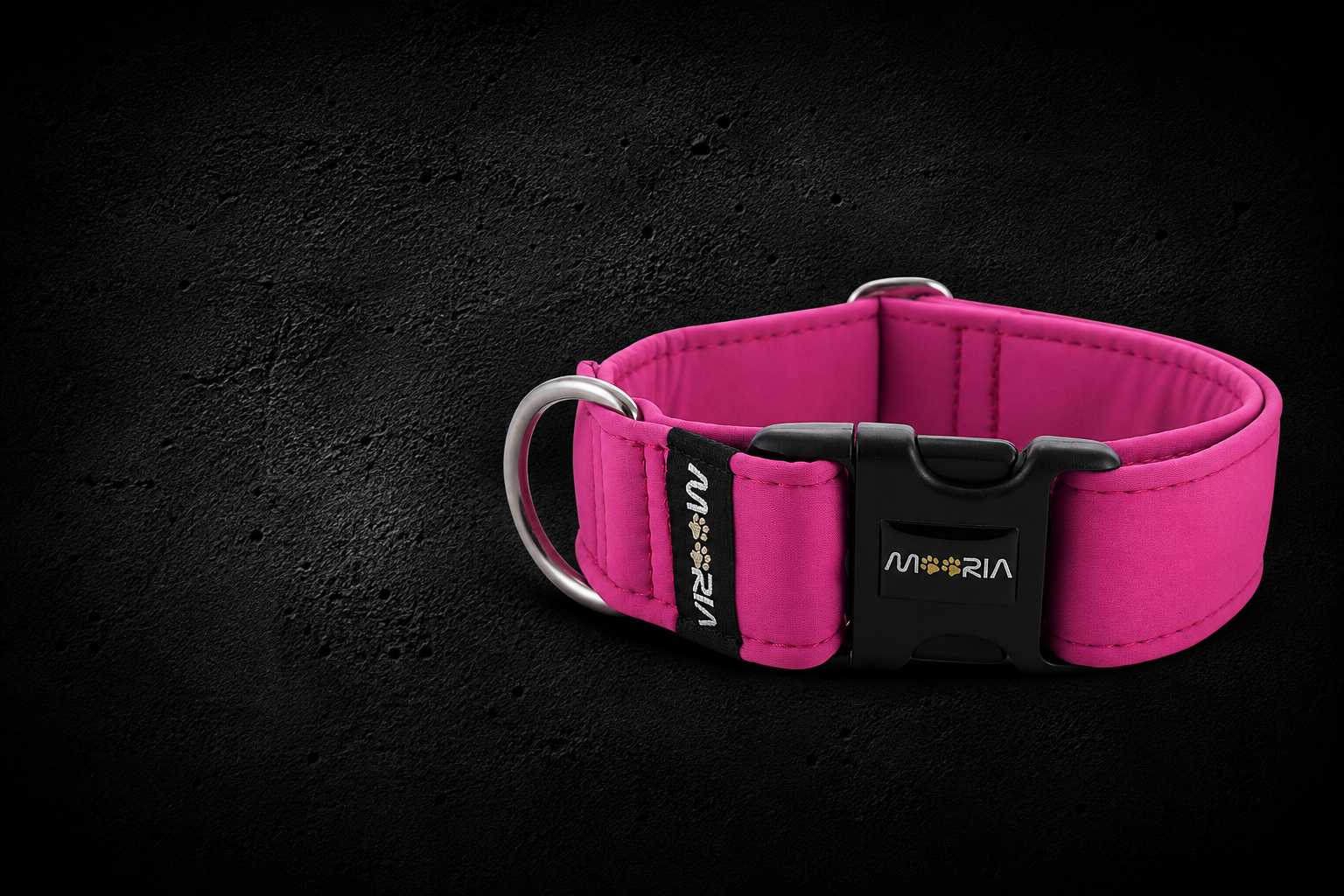 Solid color dog collars