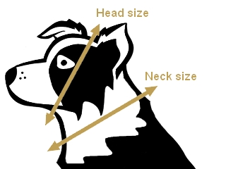 Measuring of Martingale Collar