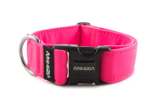 Neon Pink collar