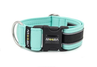 Reflective Fresh Mint collar