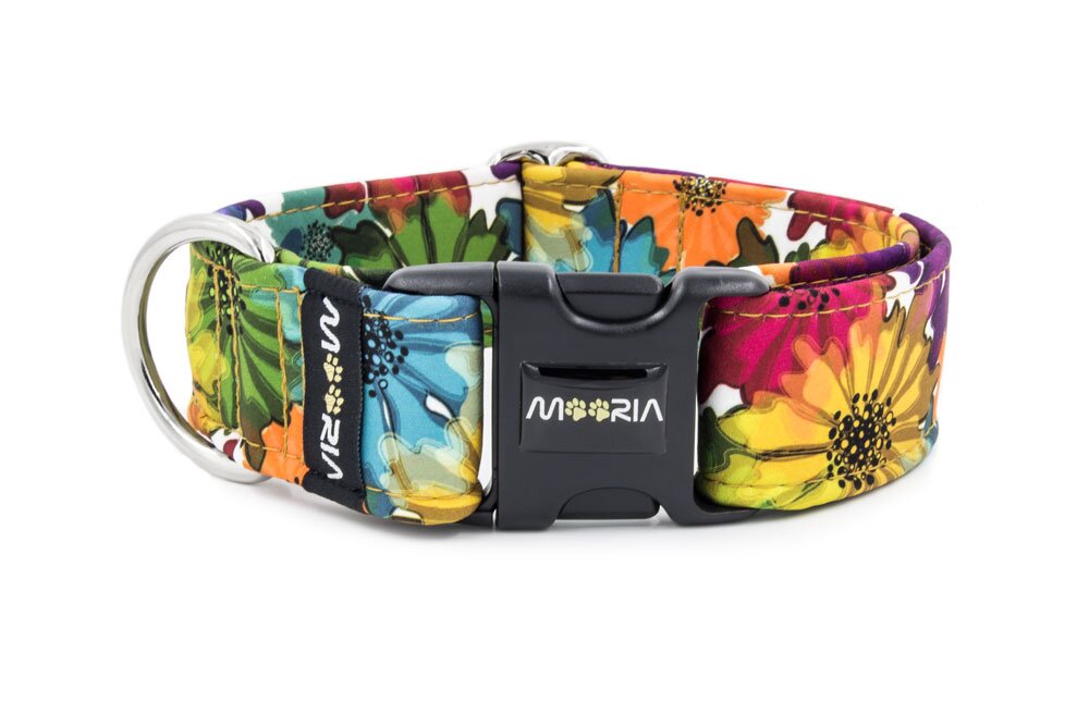 Spring shop dog collars