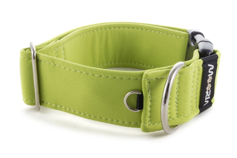 lime green collar