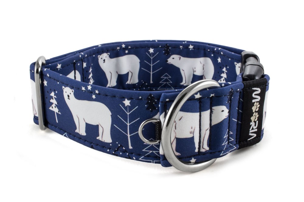 bears dog collar
