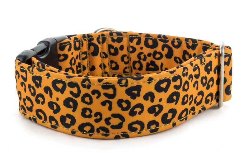 jaguar dog collar