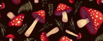 Collar Fly Agaric