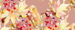 Collar Rowanberries