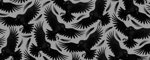 Collar Ravens