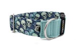 Collar Blue Skulls