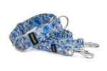 Collar Viola with a leash