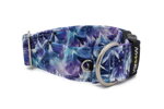 Collar Glacier