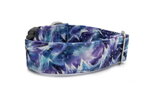Collar Glacier