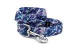 Collar Glacier