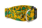 Collar Spring Chirp
