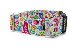 Collar Spring Folk