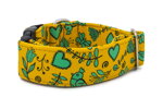 Collar Spring Chirp