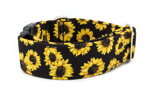 Collar Sunflower