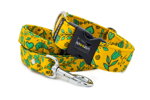 Collar Spring Chirp