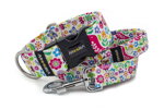 Collar Spring Folk