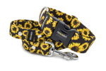 Collar Sunflower
