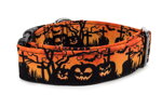 Collar Halloween