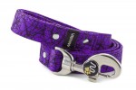 Leash Cracks - Color Fuchsia Violet