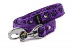 Leash Hearts - Color Fuchsia Violet