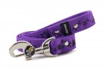 Leash Stars - Color Fuchsia Violet