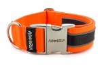 Collar Reflex Neon Orange II with metal buckle