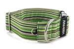 Collar Casual Green - Detail of D-ring