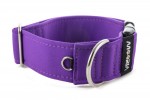 Collar Fuchsia Violet - Detail of D-ring