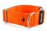 Collar Neon Orange - Detail of D-ring