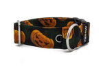 Collar Pumpkin